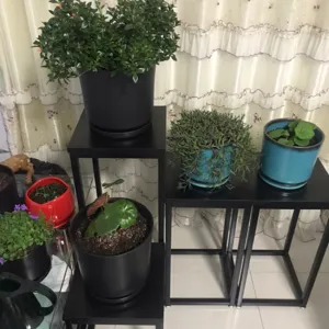 Indoor metal plant stand floor standing flower pot holder shelf for balcony home decor detail view