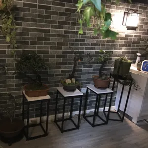 Detail view of the metal plant stand, iron flower pot holder for indoor balcony and home decor.