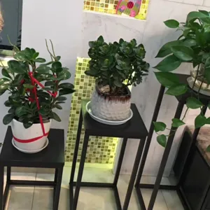 Modern indoor iron plant stand flower pot holder floor standing metal shelf for balcony home decor