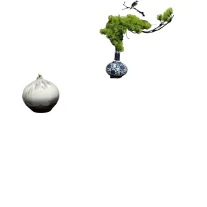 Decorative ceramic vase set with pine bonsai on white background, minimalist home decor.