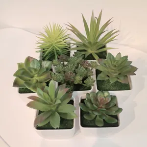 Künstliche Sukkulente Topfpflanze Kleine Herbstfarbe Serie Kunststoff Falsche Pflanze Desktop Haus Büro Dekoration DIY Design