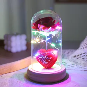 Regalo di rosa in cupola di vetro LED con luci a fata e dettaglio cuore per decorazione