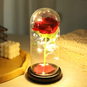 Vista dettagliata della rosa stabilizzata luminosa a LED in cupola di vetro con luci calde da scriv