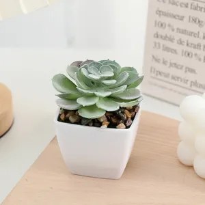 Artificial succulent plant potted miniature square pot indoor home balcony decor detail view