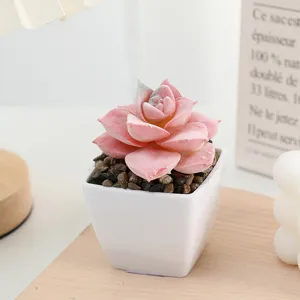 Closeup of artificial flocked pink succulent in a white square pot with stones for indoor decor.