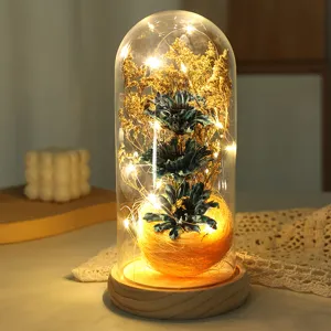 Cupola in vetro con fiori stabilizzati e luci LED, rosa eterna come regalo romantico.