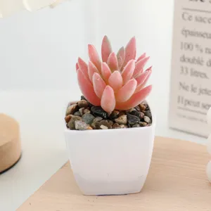 Detailed close-up of a mini flocked artificial succulent plant in a white square pot.