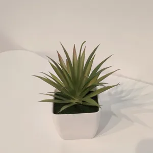 Künstliche Sukkulente im weißen quadratischen Topf für Büro und Heimdekoration Schreibtisch.