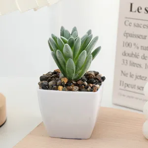 Artificial flocked mini succulent potted plant with decorative stones for indoor home decor.