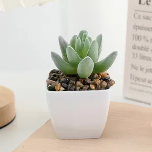 Artificial succulent in white square pot mini potted plant for home indoor desk decor