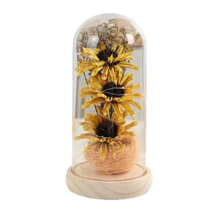 Cupola di vetro con girasole stabilizzato e luci LED, regalo di decorazione per la casa.