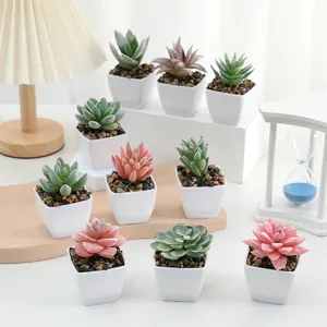 Closeup of artificial flocked succulent in mini white square pot for home decor scene.
