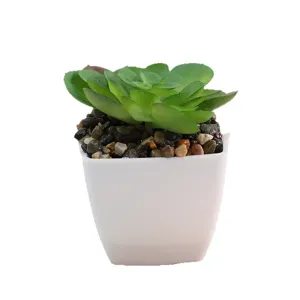 Mini artificial succulent potted plant in white square pot home indoor decor tabletop greenery