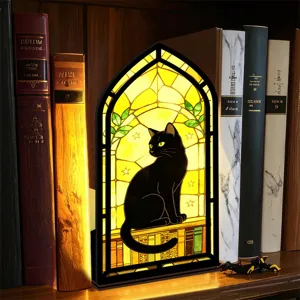 Splendido angolo lettura gatto nero gotico in vetro colorato con luce, dettaglio scaffale.