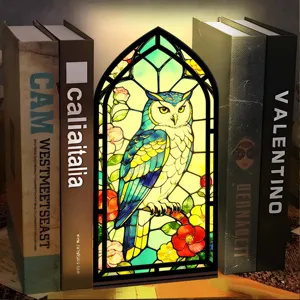 Luce notturna ferlibri gufo in vetrata, inserto decorativo in legno per scaffale.