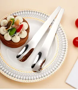 Long handle stainless steel dessert spoon, mirror polished ice cream spoon, elegant tableware detail.