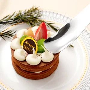 Stainless steel dessert spoon long handle ice cream cake spoon for home kitchen use