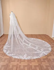 Lange kathedraal bruidssluier met sprankelende kanten applicaties, elegante fotorekwisiet.