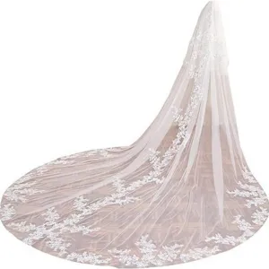 Lange kathedraal trouwsluier met elegante kantrand witte bruids tullesluier