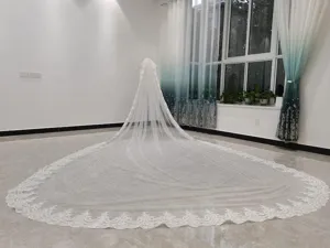 Lange kathedraal bruidssluis met delicate kantranden, elegante witte bruidsaccessoire.