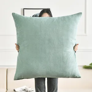 Large minimalist solid color throw pillow cover for living room sofa and bedroom decor.