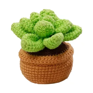 Pianta succulenta all'uncinetto fatta a mano vaso carino decorazione da scrivania