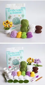 Beginner crochet kit with colorful yarn balls, flower pots and tools for DIY handmade crafts.
