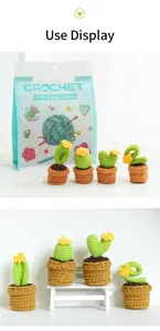 Kit de material DIY de planta en maceta de cactus de ganchillo hecho a mano para principiantes.