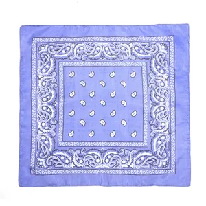 Klassisches violettes Paisley-Bandana-Tuch fuer Outdoor-Sport, Hip-Hop-Tanz und Radfahren.