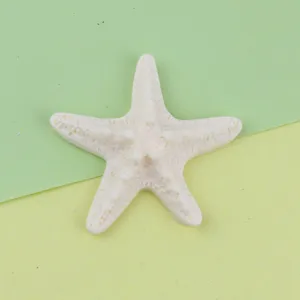White starfish resin charm detail, perfect for DIY jewelry crafting, hair clips, and shoe charms.