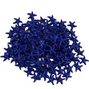 Cuentas de turquesa de estrella de mar azul accesorios de joyería DIY, superficie brillante.