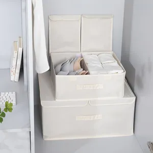 Scatola porta abiti in tessuto Oxford pieghevole doppio coperchio organizer per armadio