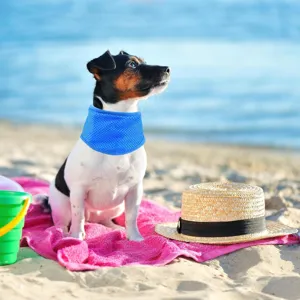 Pet cooling collar for dogs and cats summer breathable mesh ice bandana pet heat relief scarf