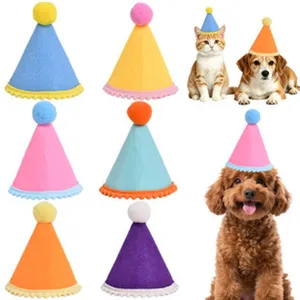 Vista ravvicinata dei cappelli di compleanno in feltro colorato per animali domestici.