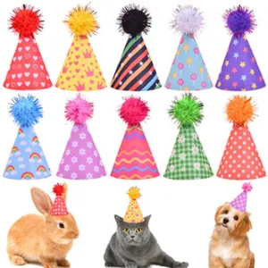 Cappelli di compleanno colorati per animali domestici con pompon per gatti e cani di piccola taglia.