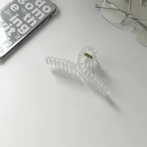 Pince à cheveux mate transparente style minimaliste pour femmes accessoire élégant