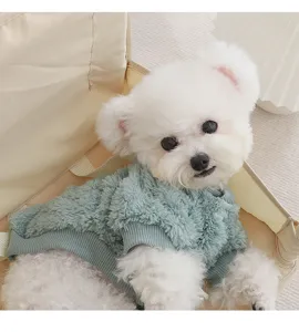 Detail shot of cute puppy wearing light green fleece dog sweatshirt, cozy pet clothing.