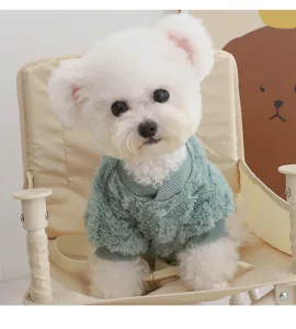 Cute small dog wearing green fleece pet sweater detail shot showing warm cozy apparel design.
