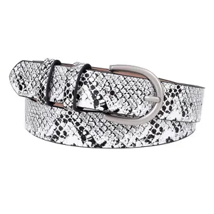 Detailed view of the women fashion snake print belt with silver tone buckle closeup shot.