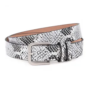 Detailed view of women fashion snakeskin pattern belt with silver metal pin buckle.