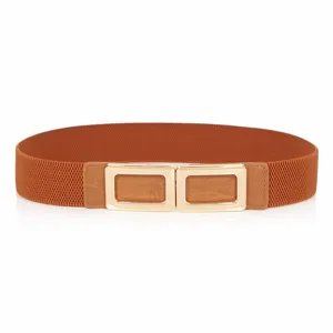 Women brown elastic waist belt with gold double rectangle buckle fashion dress cinch belt