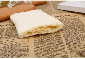 Natural loofah bath sponge detail, plant fiber exfoliating scrubber for daily body care.