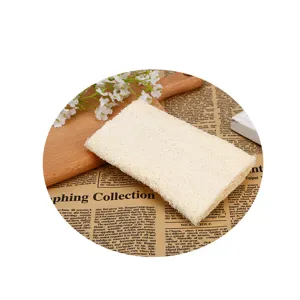 Natural loofah bath sponge detail shot, plant fiber exfoliating body scrubber texture close up.