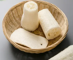 Natural loofah sponge detail, plant fiber dishwashing scrubber and bath sponge pad closeup.