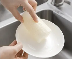 Natural loofah sponge close up showing porous plant fiber texture washing a white dish.