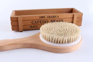 Detail view of long wooden handle body bath brush with natural bristles for back dry brushing.