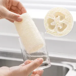 Close-up detail view of natural plant loofah sponge texture and structure for daily cleaning.