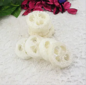 Natural plant loofah sponge slice detail view, eco-friendly exfoliating scrubber for daily use.