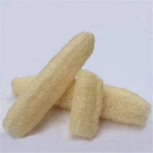 Natural plant fiber loofah sponge detail, eco-friendly exfoliating bath scrub for daily body care.