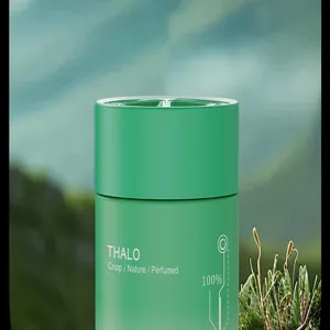 Green solid car perfume diffuser with crisp nature scent for long-lasting vehicle freshness.